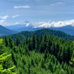 Mt. Hood beyond