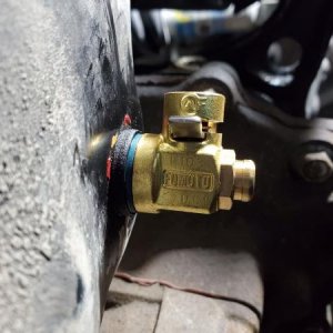 Fumoto oil valve