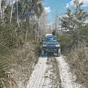 PicayuneStrand_FL_1