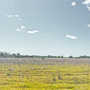 PicayuneStrand_FL_02