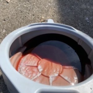 trans fluid drain