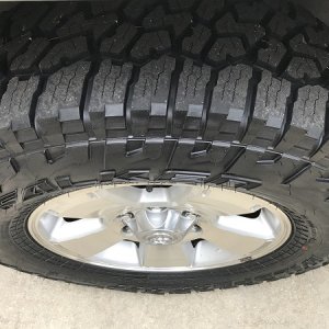 Falken Wildpeak