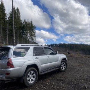 exploring the Tillamook forest