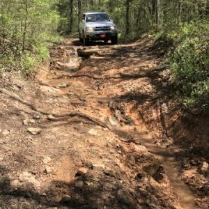 Going down was a lot easier than going up!