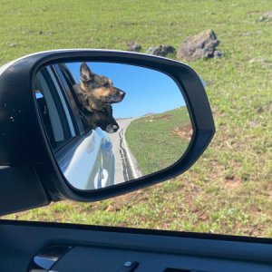 Objects in mirror are closer than they appear.