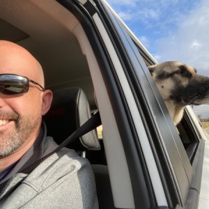 Happy dog. Happy dad.