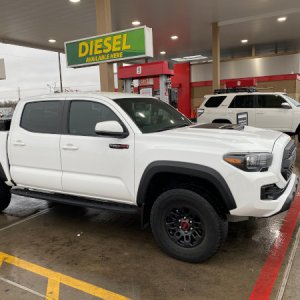 Taco Pro
