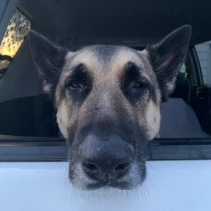 Bored eyes