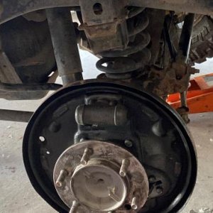 rear axle seals and bearings