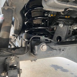 Rear Coils