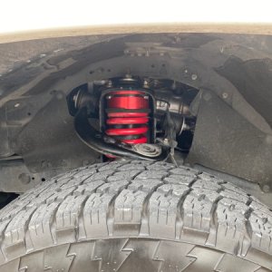 Ordered this kit through Bilstein's website, and they had the option to have them delivered as either raw aluminum, or anodized red or black. I select