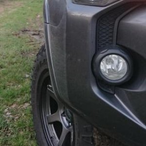 t4r