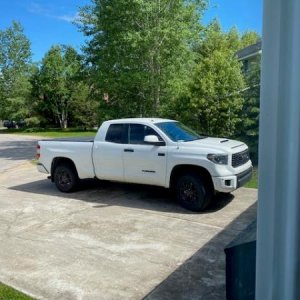 tundra