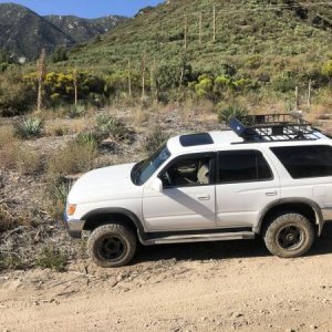 San Bernadino National Forest