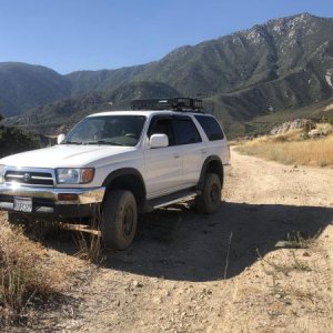 San Bernadino National Forest