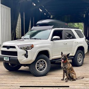 The new rig. Near Cottage Grove Oregon. Purchased in April. 2014 Trail Premium. Upgrades: BFG KO2 in 285/70R17 load E, Toytec/Bilstien 3” lift front, 