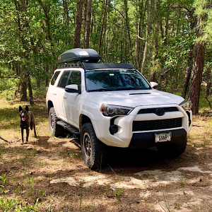 Exploring the Pine Barrens in central New Jersey