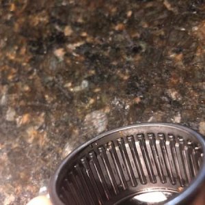 IMG 3684