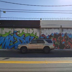 Wynwood