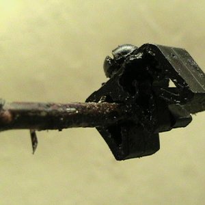 BrakeLineClip&Leak