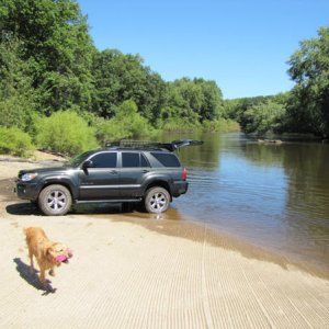 Taking Murphy swimming.