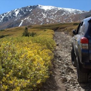 Argentine Pass 2