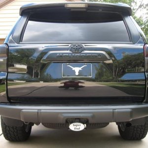 Blacked out tailights