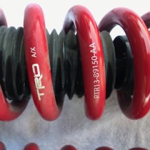 IMG 6466
