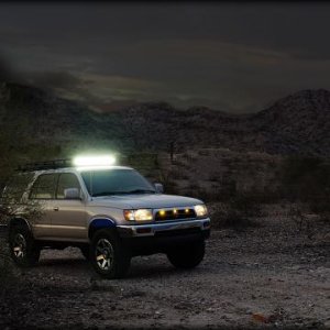 Night lites 3