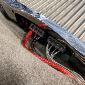 Wiring for amp. Runs into the cutout in the carpet for the driver's side seatbelt sensor.