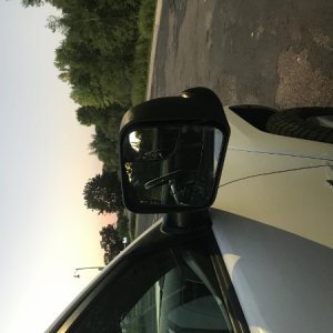 IMG 6275 (450x600)
