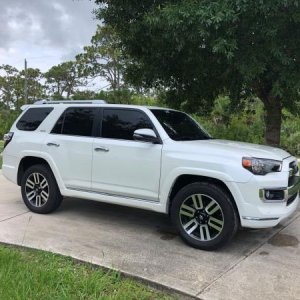 First week with new rig...just had her tinted.