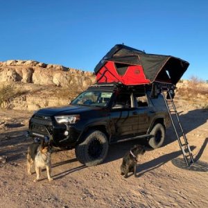 New CVT Mt Fury Tent - camping at Lake Mead