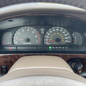 IMG 0725