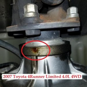 2007 Toyota 4Runner Seal   Leak
