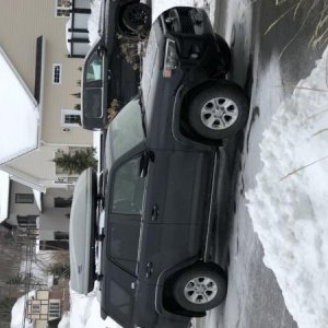 IMG 0518