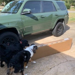 Inspecting sliders