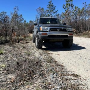 Point Washington State Forest, Walton County, Florida
