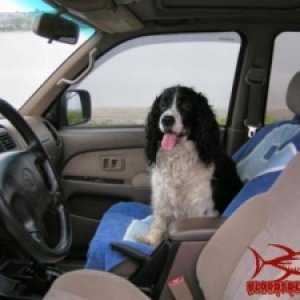 micki in 4runner