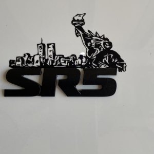 My NY Roots