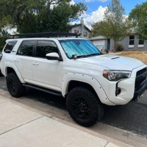 My project (20)