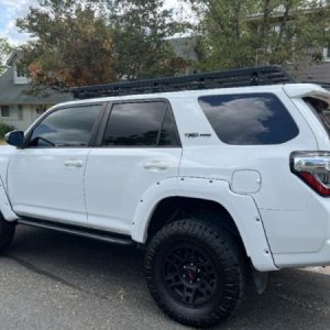 My project (18)
