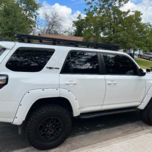 My project (16)