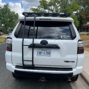 My project (17)