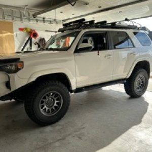 IMG 0041