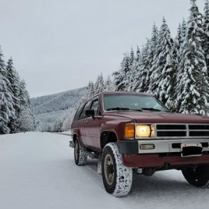 snow bunny