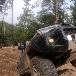 Dickey Bell trail