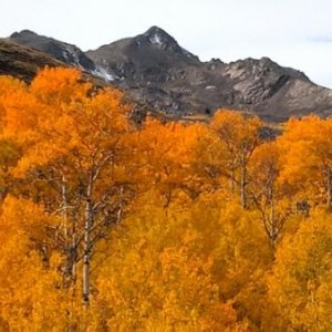fall3