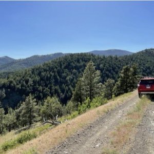 Road near Wolf Creek, MT