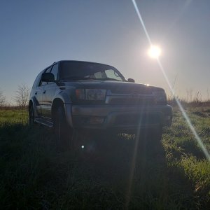 Early Morning Hunt